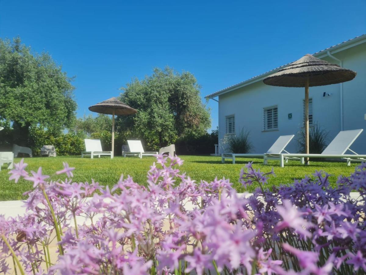 La Maison - Boutique Rooms Sperlonga Eksteriør bilde